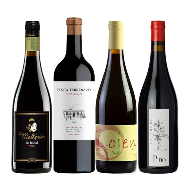 bobal, a spanish red wine