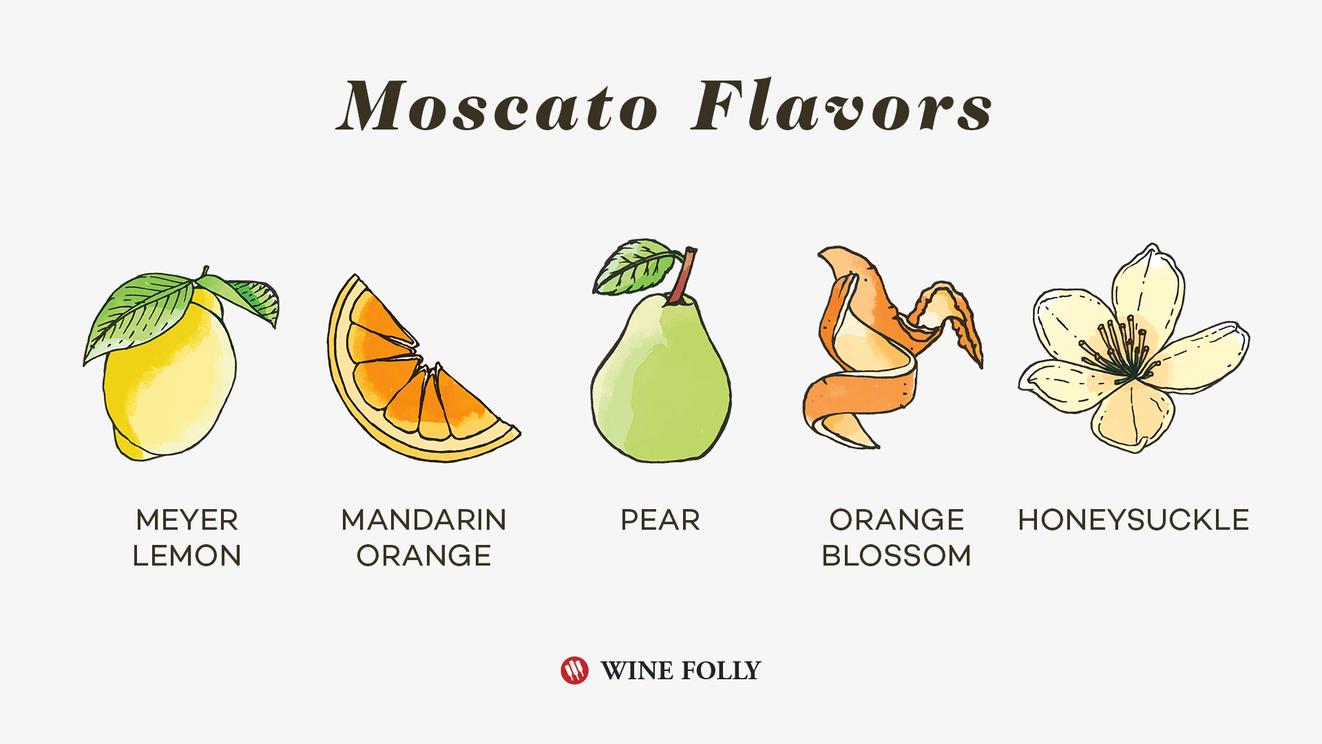 Moscato Wine Flavors by Wine Folly