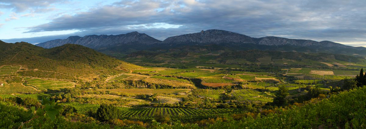 Maury Wine Area in Languedoc-Roussillon