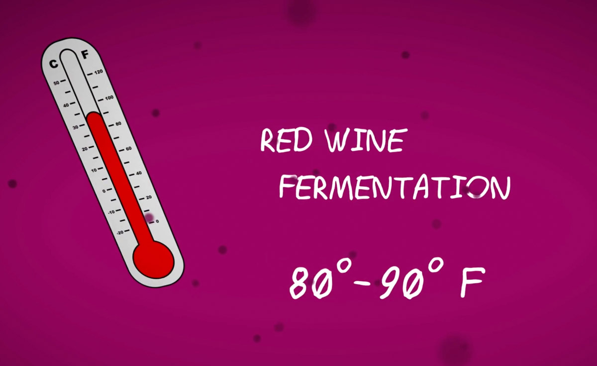 Red wine fermentation temperature between 80-90 F