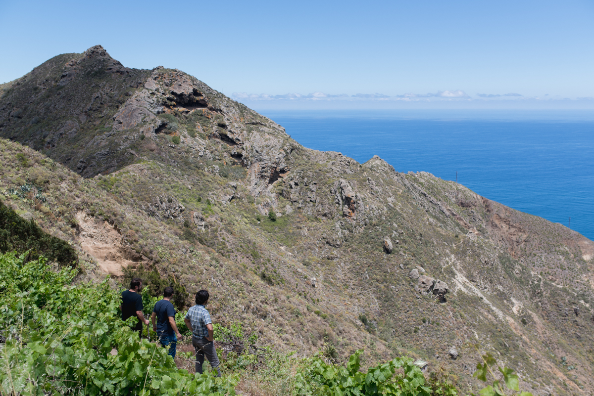 slope-vineyards-canary-islands-tenerife-jose-pastor-brian-mcclintic-jimmy-hayes