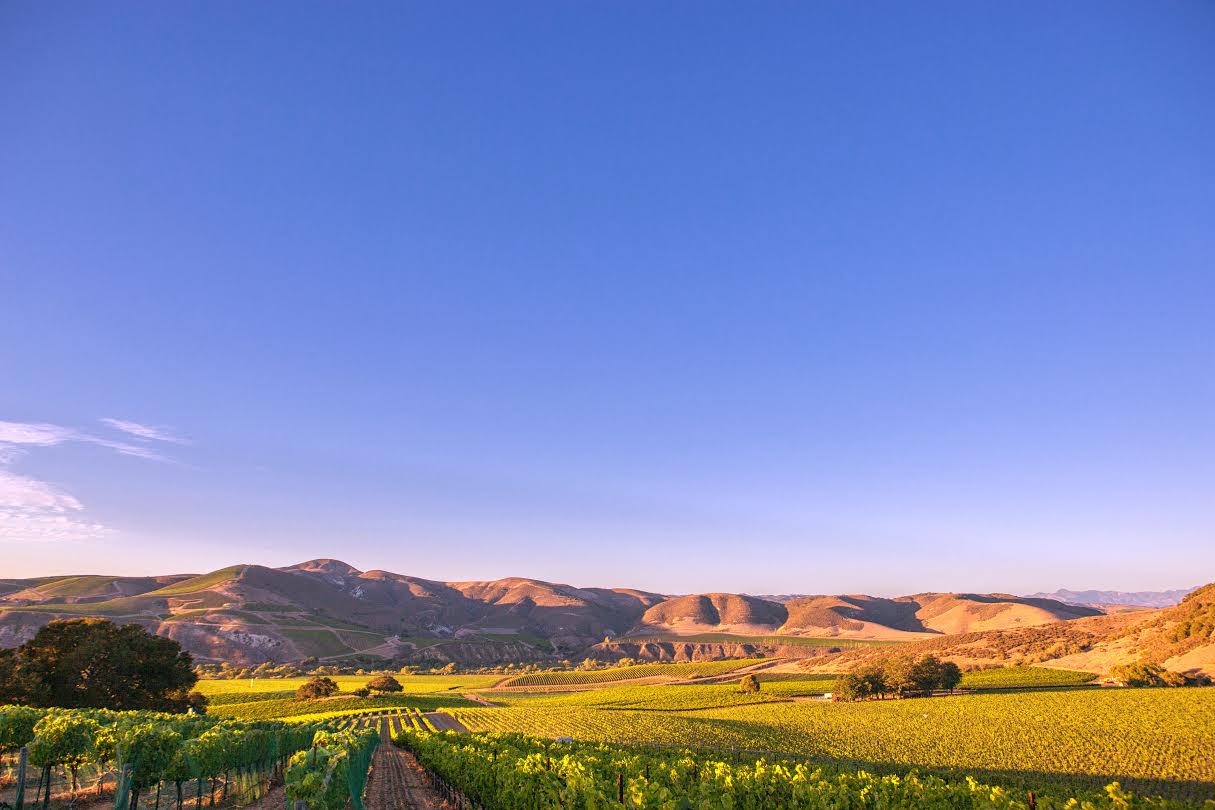 sta-rita-hills-santa-barbara-pinot-noir