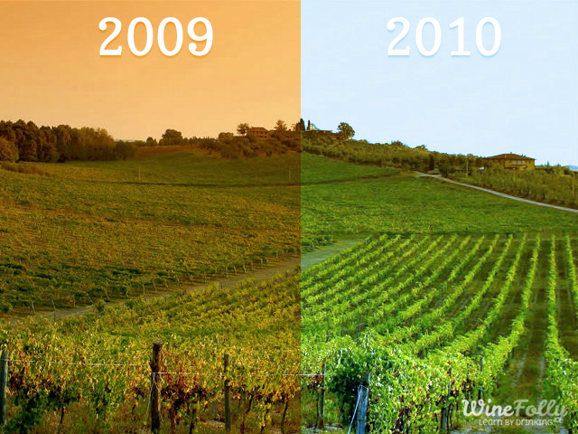 how climate and weather affects vineyards with vintage variation how climate and weather affects vineyards with vintage variation