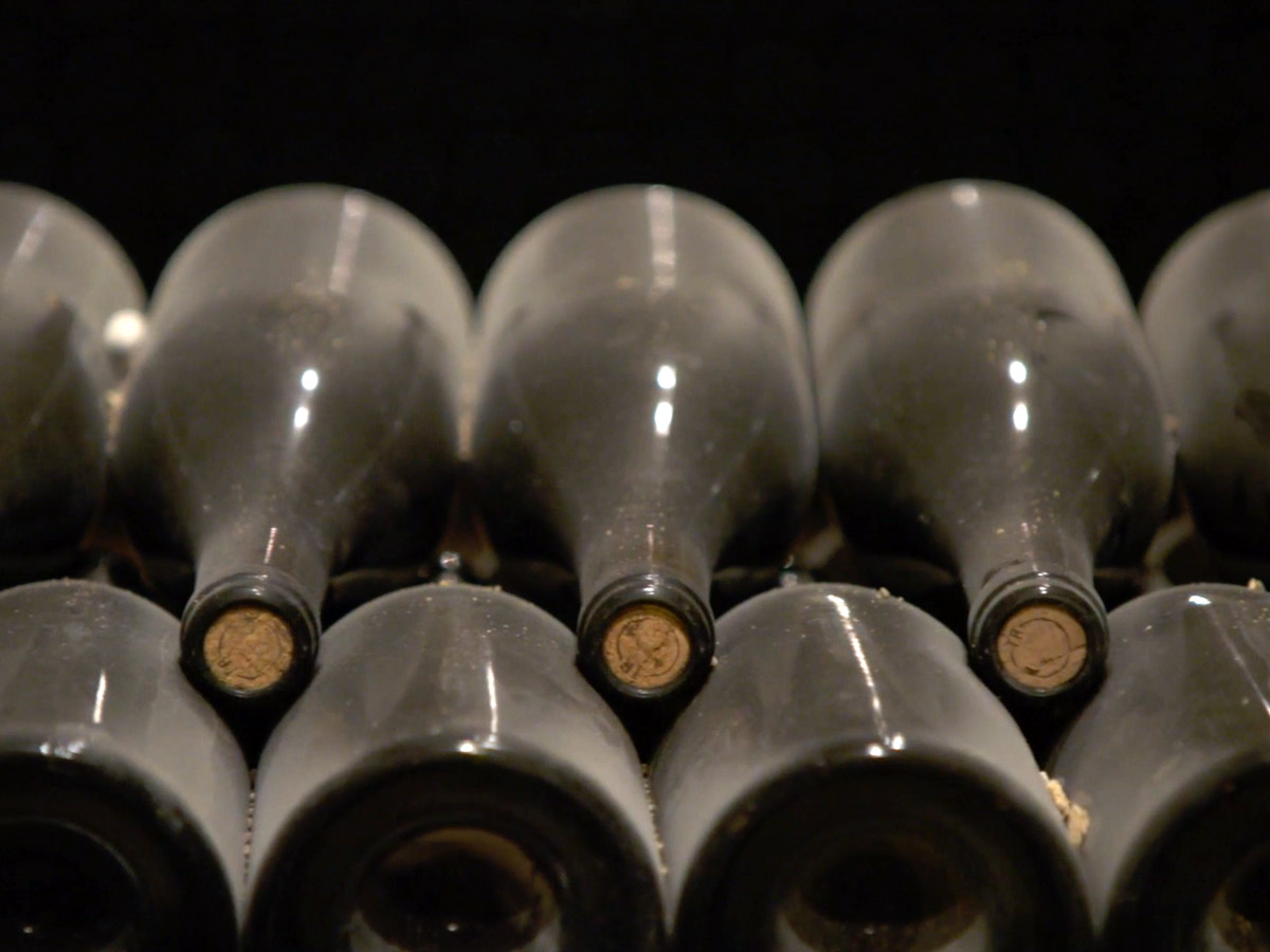 wines-in-bottles-in-cellar-no-labels