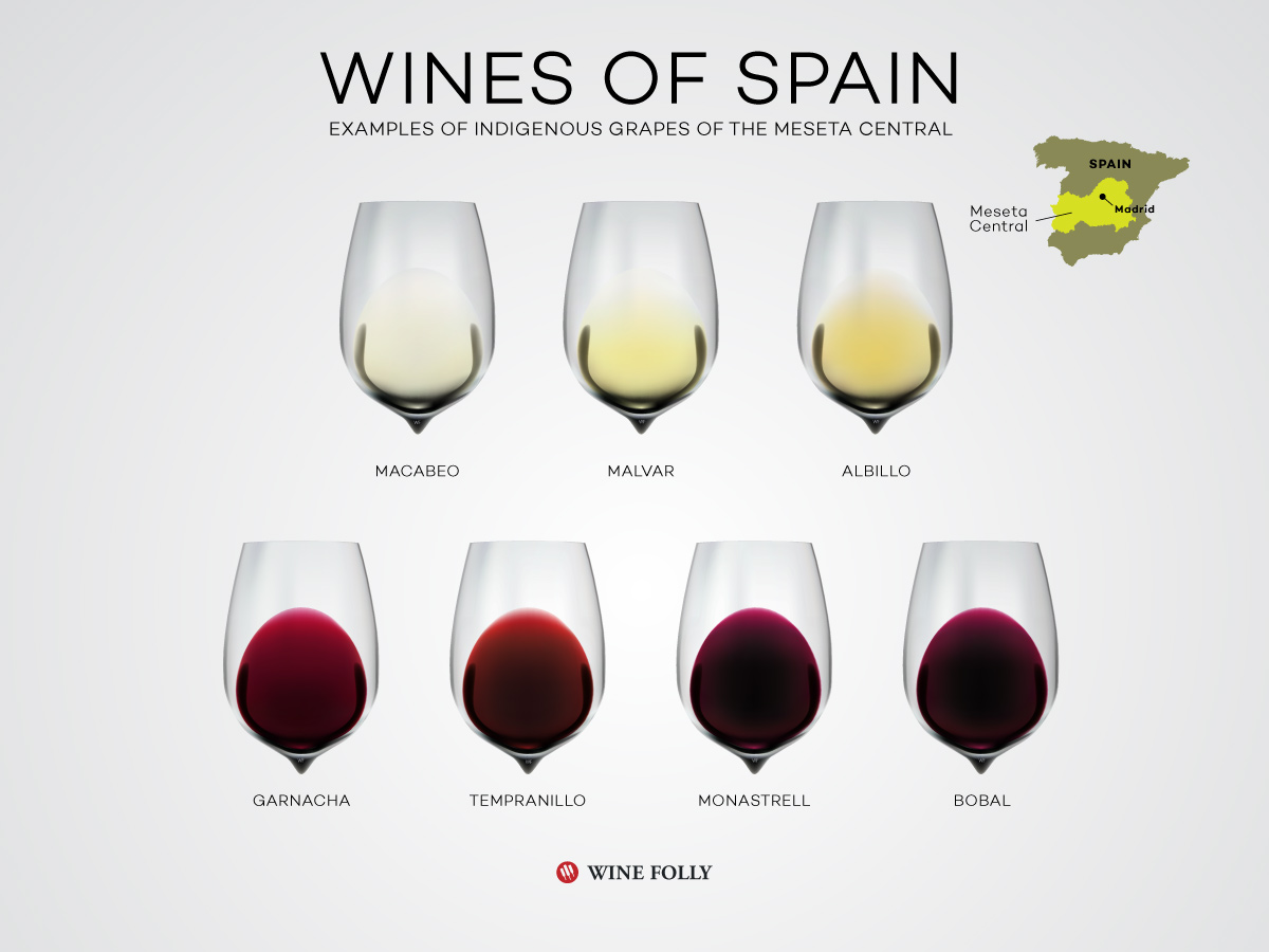 Wines of Central Spain