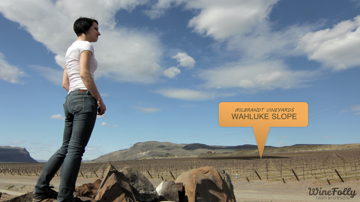 Wahluke Slope Washington Vineyards Milbrandt with Madeline Puckette Wahluke Slope Washington Vineyards Milbrandt with Madeline Puckette