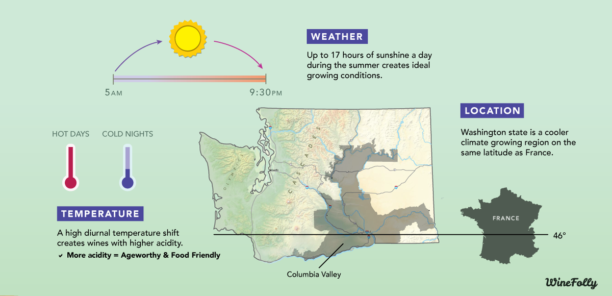 Washington Wine Region Statistics